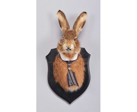 Anthropomorphic Taxidermy: A European Hare Mask Squire (Lepus timidus), modern, retailed by The London Taxidermy Company, a h