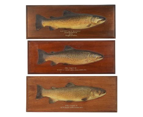 Natural History: A Collection of Carved Wooden Trout, dated 1904-1907, retailed by Charles Farlow & Co, Ltd, Fishing Rod Manu