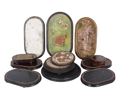 Natural History: A Collection of Late Victorian Taxidermy Dome Bases, eight various ebonised, veneered, and painted oval supp