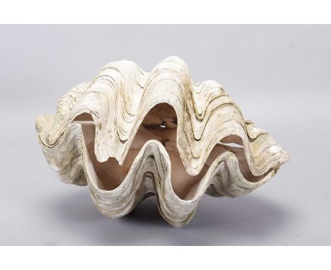 Conchology: Giant Clam Shell (Tridacna gigas), late 19th century, two half shells of similar size, left half 37.5cm by 28cm, 