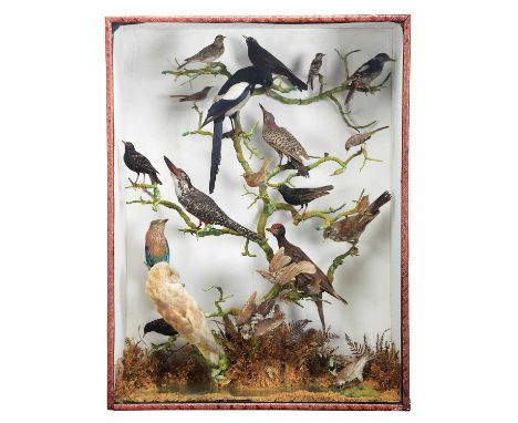 Taxidermy: A Large Diorama of European African and North American Birds, circa 1880-1900, a large diorama of twenty-two vario