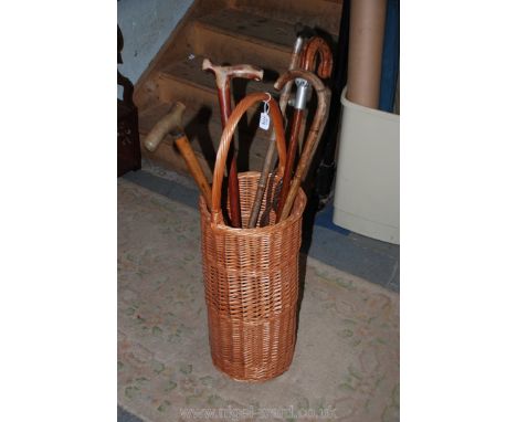 A wicker Stick Stand with various walking sticks and shooting sticks