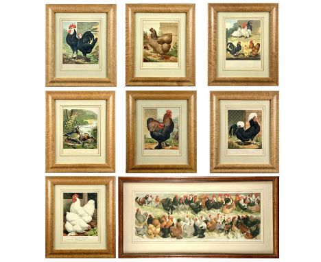 The Boy's Own Fowl Yard, After A.F. Lydon. A late Victorian colour lithograph of numerous chickens and fowl, 26X71cm, in a mo