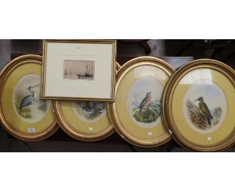 After Henry Bright:  watercolours, a set of 4 studies of birds, 28cm x 23 cm, oval mounts and frames; a 19th century sketch o