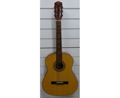 An acoustic K guitar in soft case