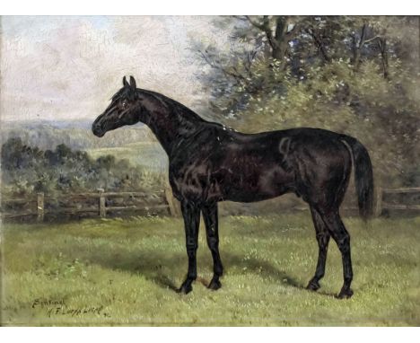 Henry Frederick Lucas-Lucas (1848-1943) - Oil painting - horse portrait - "Sentinel", panel 9ins x 12ins, signed and dated '9