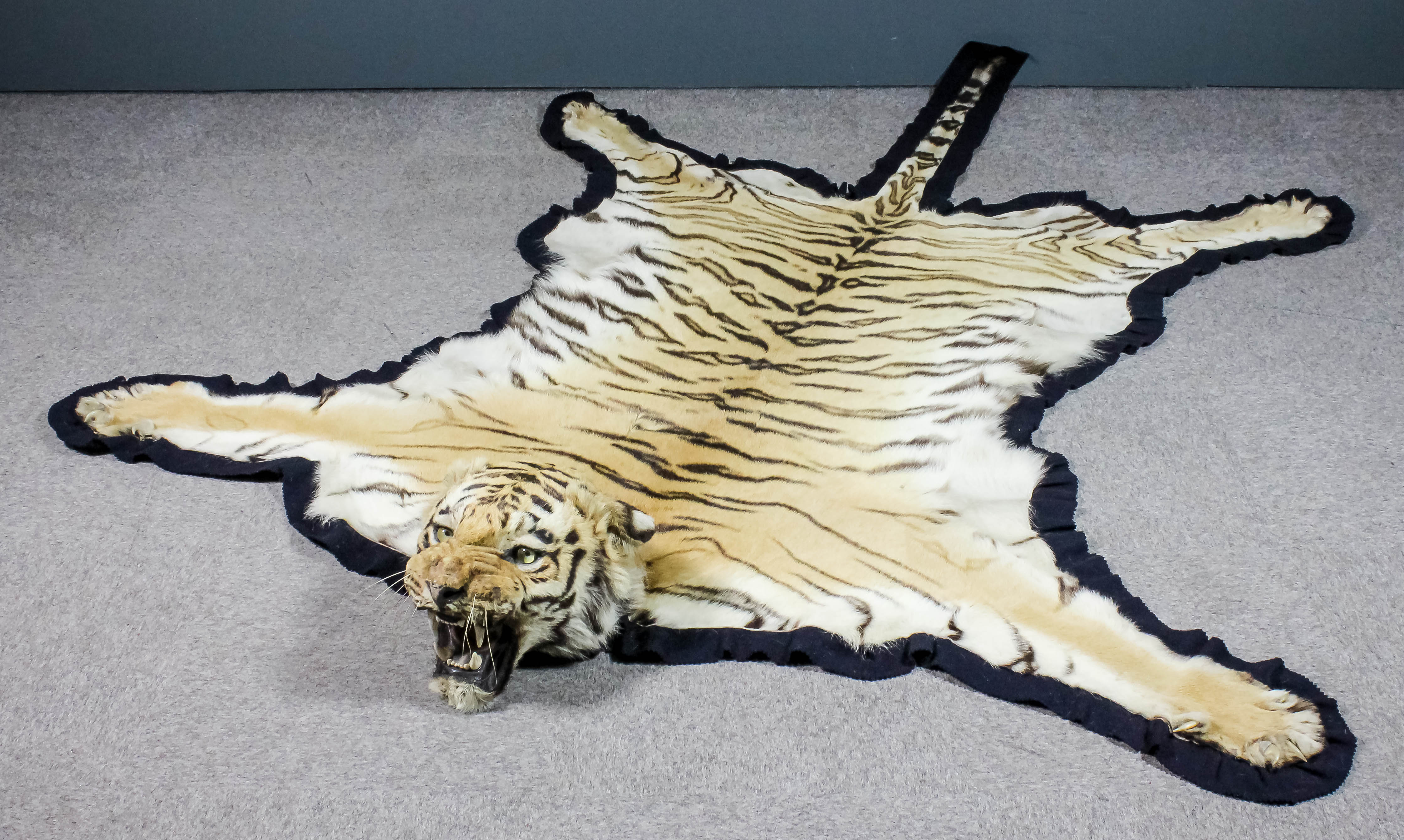 A good 1920's Indian tiger skin rug mounted by Van Ingen & Van Ingen of