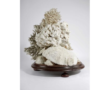 λ A WHITE CORAL SPECIMEN GROUPIN VICTORIAN STYLEon a circular mahogany base53cm high