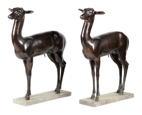 A PAIR OF LIFE-SIZE BRONZE DEER20TH CENTURYmodelled standing on a marble rectangular base (2)87.5cm high, 77cm long, 28.5cm w