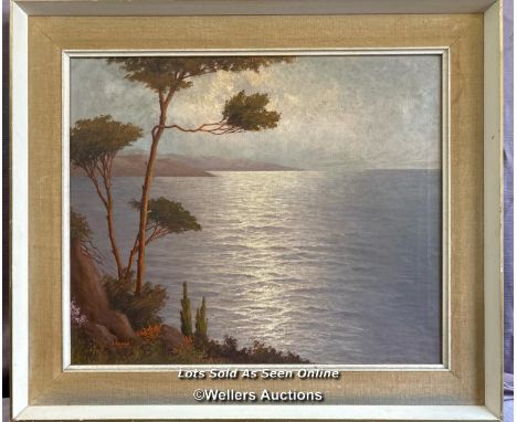 FRAMED OIL ON CANVAS DEPICTING A MEDITERRANEAN SEASCAPE, SIGNED BY J. ANDRE, 59 X 49CM 