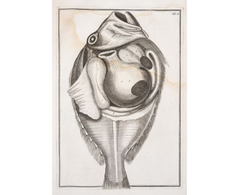 Anatomy.- Collins (Samuel) A Systeme of Anatomy, treating of the Body of Man, Beasts, Birds, Fish, Insects, and Plants, 2 vol