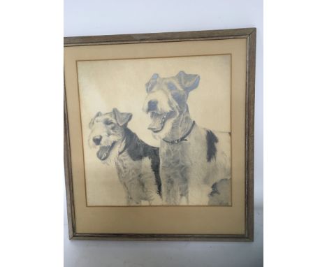A framed pencil sketch study of two Terrier signed in pencil. 42x46cm