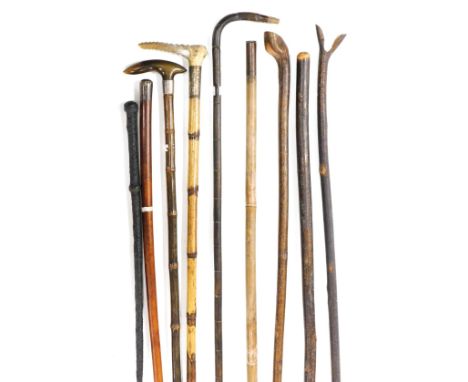 Canes and sticks, including a horn handled bamboo walking stick with silver mount, initial W Hodson, walking stick with silve