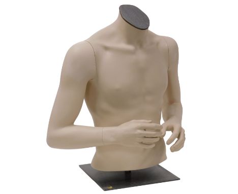 A mannequin of a gentleman's torso, on a square metal base, 64cm high.