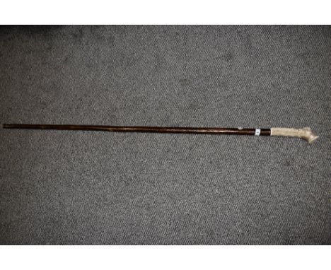 A horn handled walking stick, measuring 133cm long