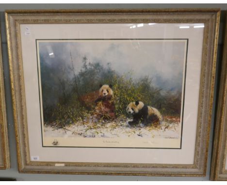 David Shepherd L/E Print THE PANDAS OF WOLONG (803/1500) 