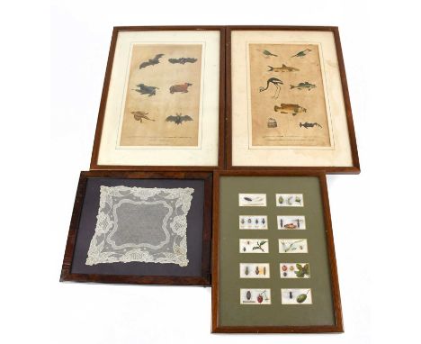 HARRISON &amp; CO; two 18th century hand coloured plates, one of mammals, the other of fish and birds, one framed and glazed,