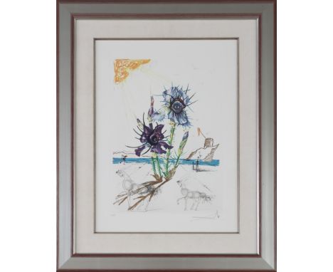 SALVADOR DALI (1904 Figueres/Katalonien - 1989 ebenda)druckgrafische Mischtechnik (Radierung über Farblithografie) auf Arches