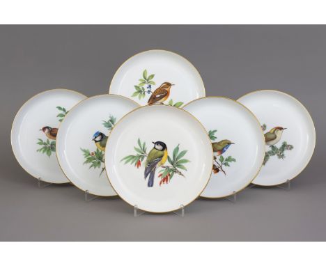 6 MEISSEN Porzellanteller mit Vogeldekorflache Form mit leicht hochgezogenem glatten Rand, im Spiegel diverse Vogeldekor in p