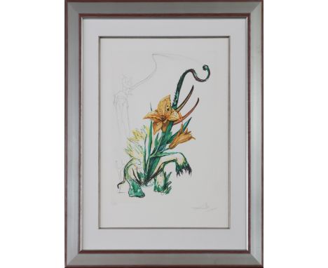 SALVADOR DALI (1904 Figueres/Katalonien - 1989 ebenda)druckgrafische Mischtechnik (Radierung über Farblithografie) auf Arches