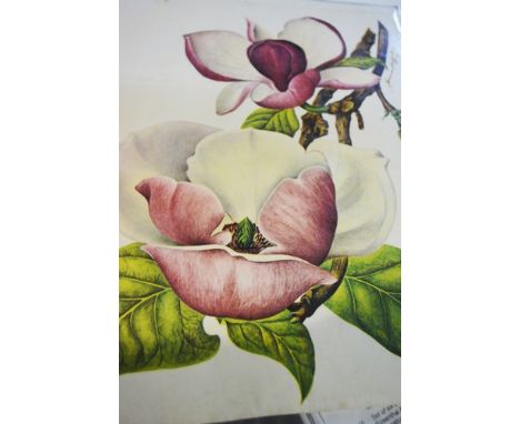 Pair of Vanity Fair prints, watercolour, Portrait of a Lady, various books etc.