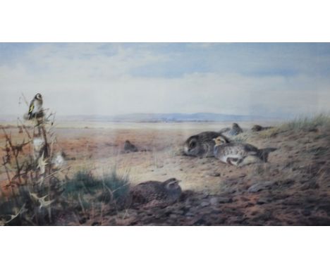 After Archibald Thorburn, "September Siesta", colour print, 28cm x 50cm and six other prints after Archibald Thorburn (7 - 6 