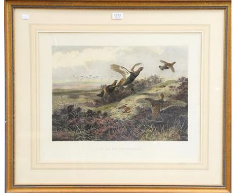 After Archibald Thorburn two sporting prints 'Put up by the Beaters' and 'The Last Bit of Cover', together with a print after