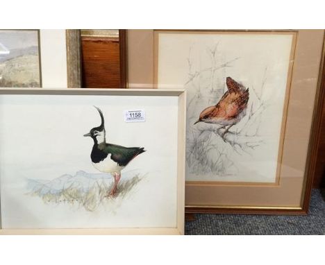 M Oaks (contemporary) study of a bird on a branch, signed and dated (19)77 pencil and watercolour, 29cm by 24cm together with