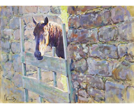 MALCOLM COWARD S.E.A. (b. 1948) Framed, signed, oil on canvas, horse peering over a wooden gate beside brick wall, 44cm x 60c