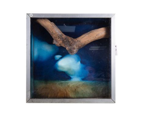* NEIL DALLAS BROWN (SCOTTISH 1938 - 2003),(SUM)MER BOXmixed media diorama, titled and dated 1968 label versooverall size 42c