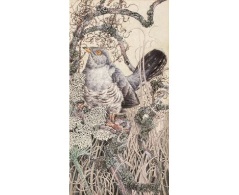 Warren (Michael, 1938 -). Cuckoo 1975, watercolour on paper, signed and dated lower left, 35 x 18cm, gilt frame, glazed, fram