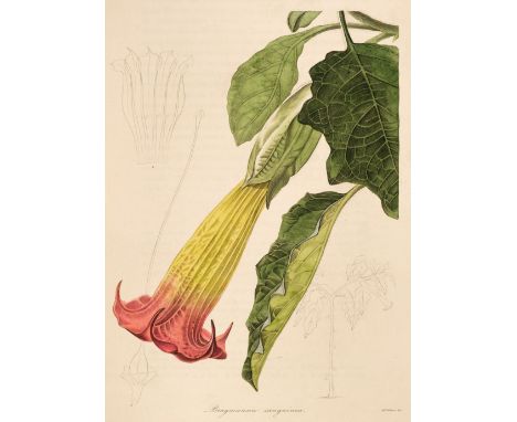 Maund (Benjamin). The Botanist; containing accurately coloured figures, of tender and hardy ornamental plants, 5 volumes, Lon