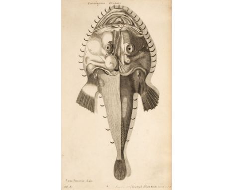 Fish. Willughby (Francis), A collection of 48 engravings, circa 1686, uncoloured engravings, originally published in 'De Hist