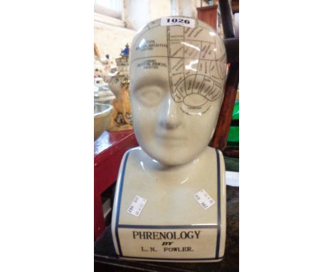 A modern ceramic phrenology head