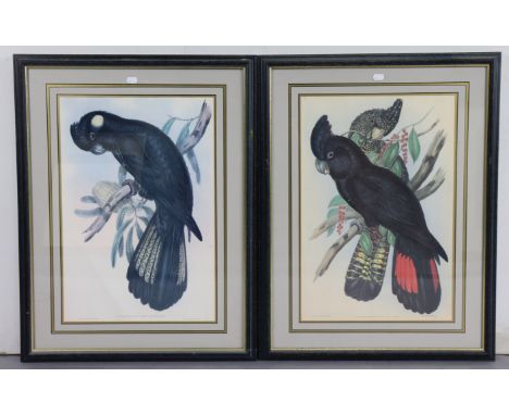 A Limited Edition coloured print titled “The Bird Watcher” (B1/150), signed indistinctly, 20½” x 10½”, four various prints af