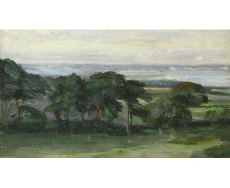 ARTHUR HAYTHORNE STUDD (1863-1919) LANDSCAPE  oil sketch on panel, 11.5 x 20.5cm ++In superb condition beneath glass in the o