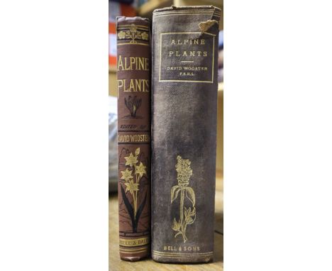 Wooster (David). Alpine Plants: Figures and Descriptions of some of the most striking and beautiful of the Alpine Flowers, Lo