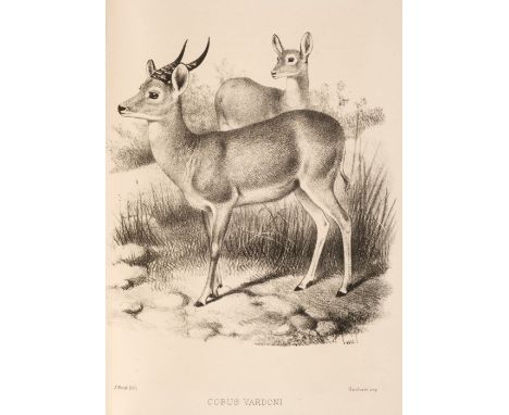 Selous (Frederick Courtney). A Hunter's Wanderings in Africa, being a Narrative of Nine Years Spent amongst the Game of the F