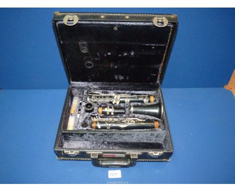 A Clarinet in a Peclenel carrying case.