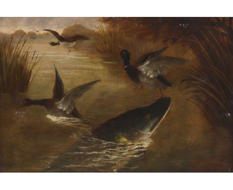 A Roland Knight (19th century)A pike surfacingsigned 'A. Roland Knight' l.r., oil on canvas40.5 x 61cmCondition Reportoverall