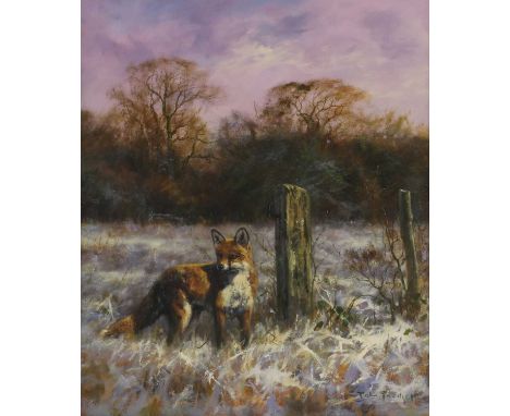 ▴ John Trickett (b.1952)A fox in the snowsigned 'John Trickett' l.r., oil on canvas61 x 50.5cmBorn in Sheffield, Trickett was