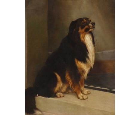 Annie Smith (19th century)Portrait of a collie doginscribed with title and dated '1888/May 8th' on a label verso, oil on canv