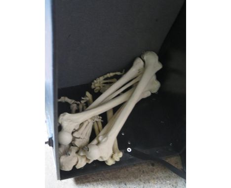 A Trunk/Carry Case with part of a Scientific Skeleton inside (legs), motorbike helmet and box 