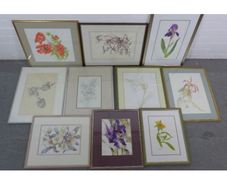 Carton of mixed botanical artworks to include, mixed media,  watercolours and prints, etc, all framed (11) 