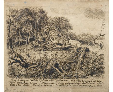 Niels Skovgaard (Danish, 1858 - 1938)Fallen Tree - SelskovgenDrypoint etching.21.5 x 24.5 cm