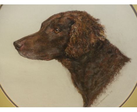 MARY BROWNING (20th/21st.C.).   ARR.  OVAL PORTRAIT OF A SPANIEL.  PASTEL, SIGNED.  H. 46cm x 40cm.  TOGETHER WITH A SMALLER 