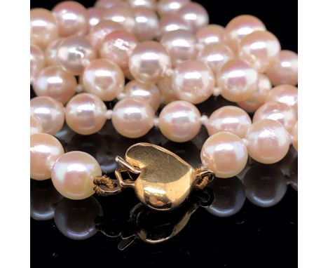 A CULTURED PEARL NECKLET COMPLETE WITH AN 18ct GOLD HEART SHAPE CLASP. UNIFORM, KNOTTED ROW. APPROX PEARL SIZE 6.8mm,  LENGTH