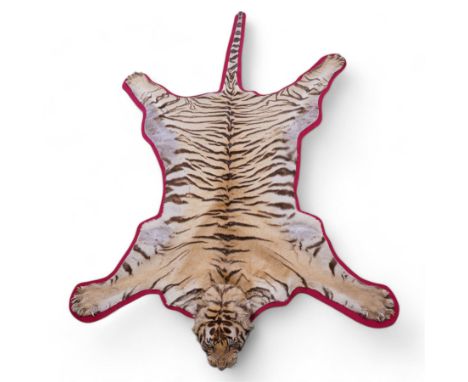 Taxidermy: Early 20th century Bengal Tiger skin rug (Panthera tigris tigris), adult female skin rug with head mount, the claw