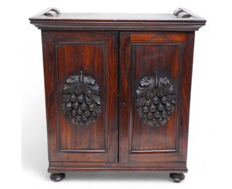 19th century rosewood spice cabinet, moulded cornice over two panelled doors decorated with fruiting foliage carved mounts, t