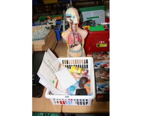 A STUDENT'S HUMAN BIOLOGY MODEL, INCOMPLETE